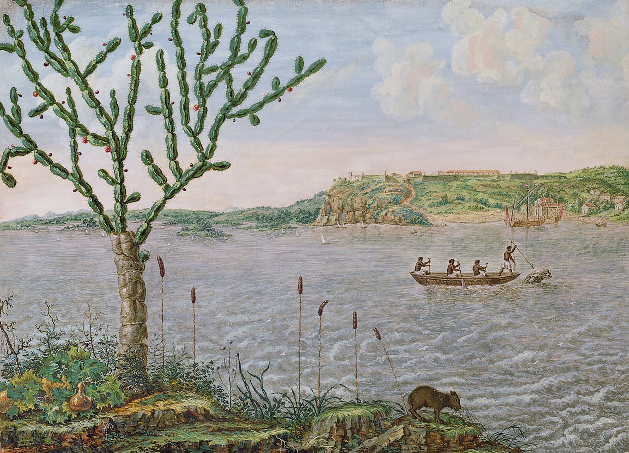 View of Fort Maurice on the Rio San Francisco by Frans Post