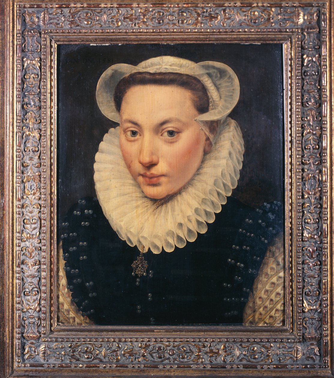 Portrait of a Young Lady by Frans I Pourbus