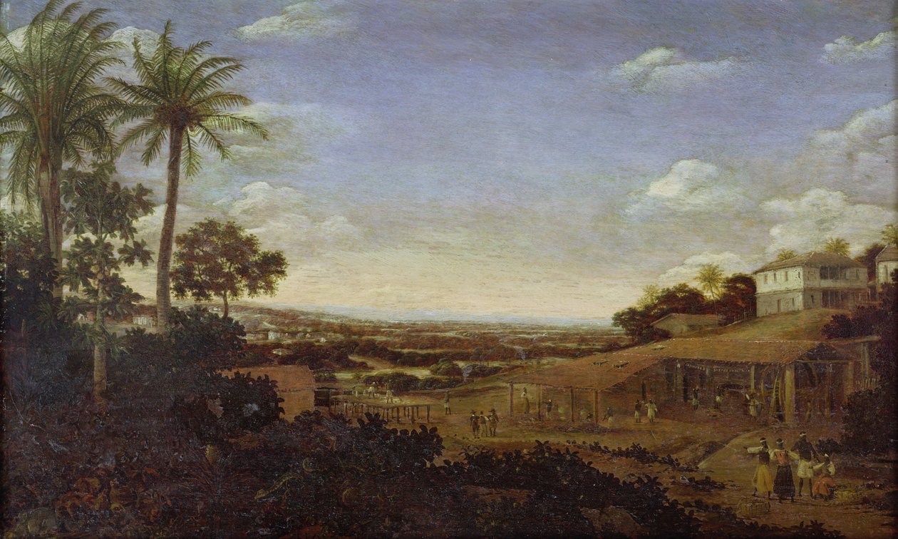Unknown Image by Frans Post
