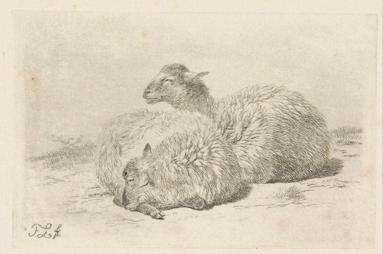 Two lying sheep by Frans Lebret