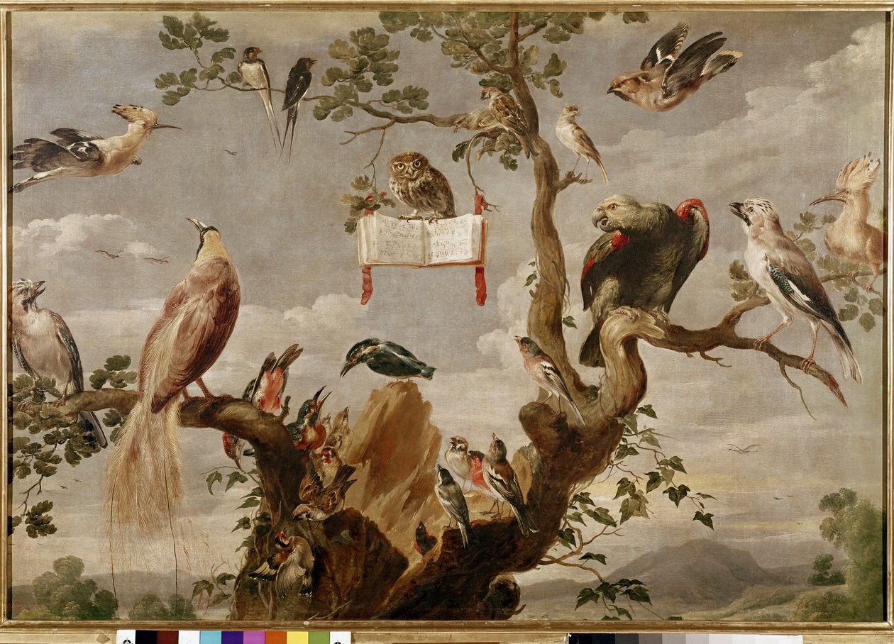 A Bird