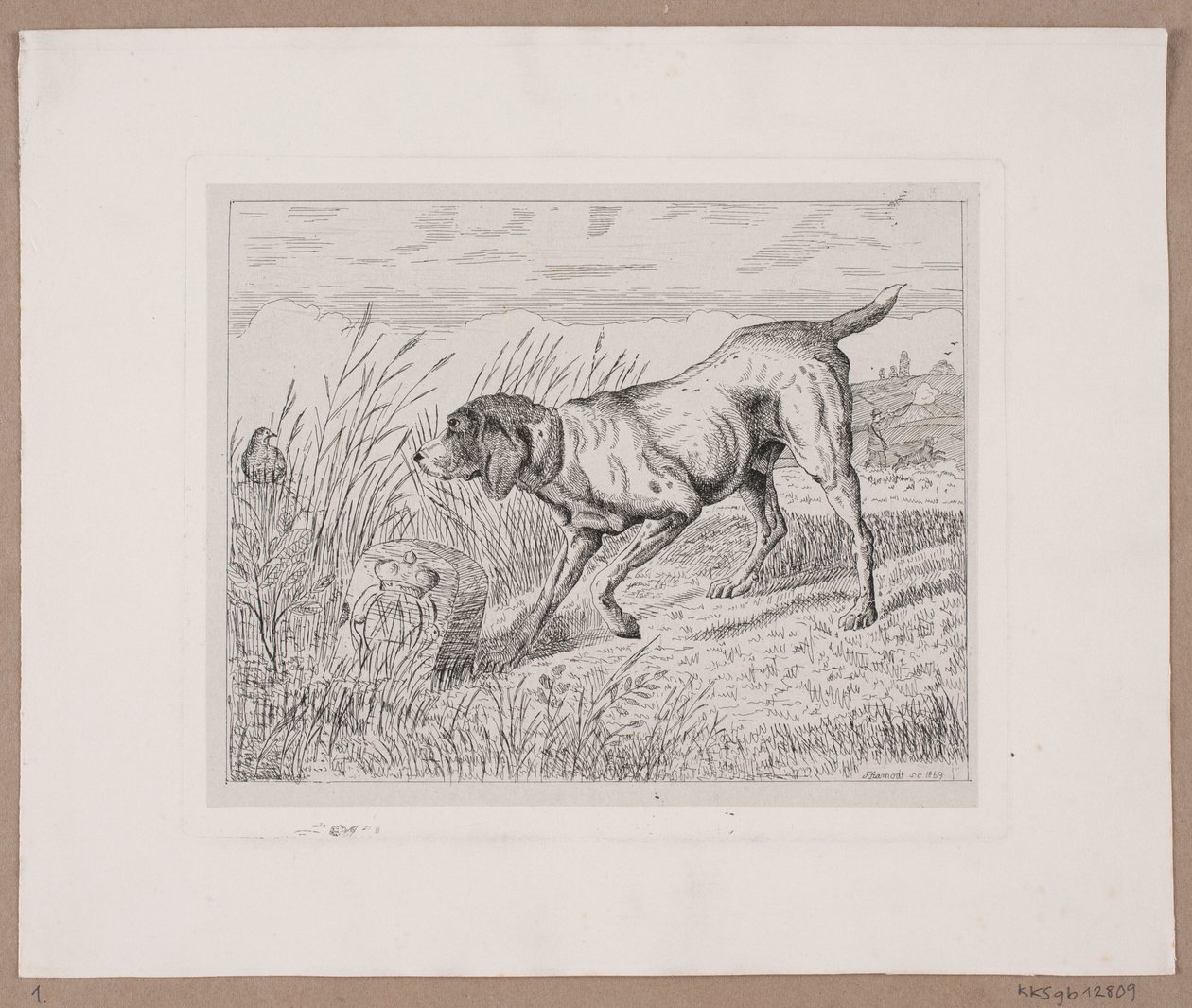 A Hunting Dog by Frede Aamodt