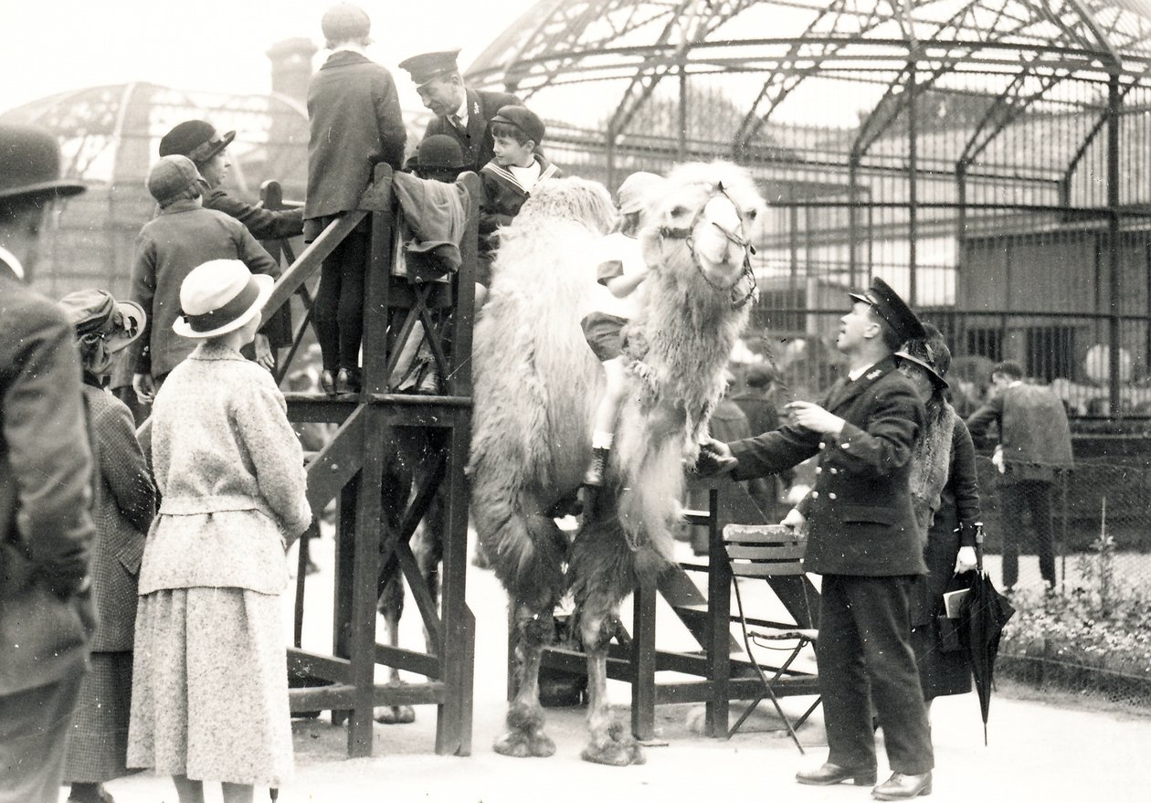 Camel Riding with Keeper H. Warwick by Frederick William Bond