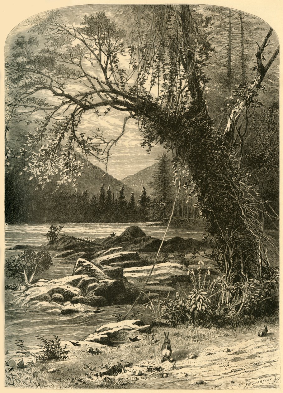 The French Broad by Frederick William Quartley