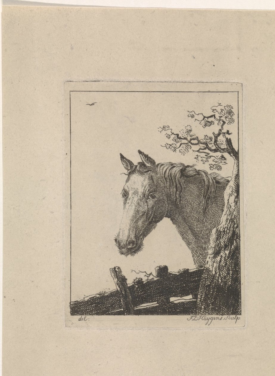 Head of a Horse by Frederik Lodewijk Huygens