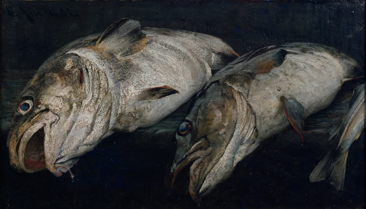 Cod by Fredrik Kolstoe