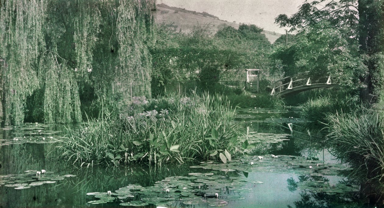 Waterlily Pond and Japanese Bridge in Monet