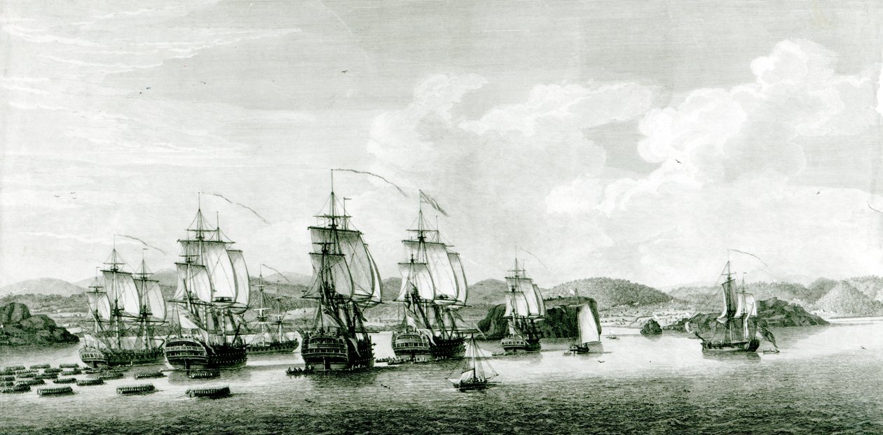 A View of the Island of St. Lucie by French School