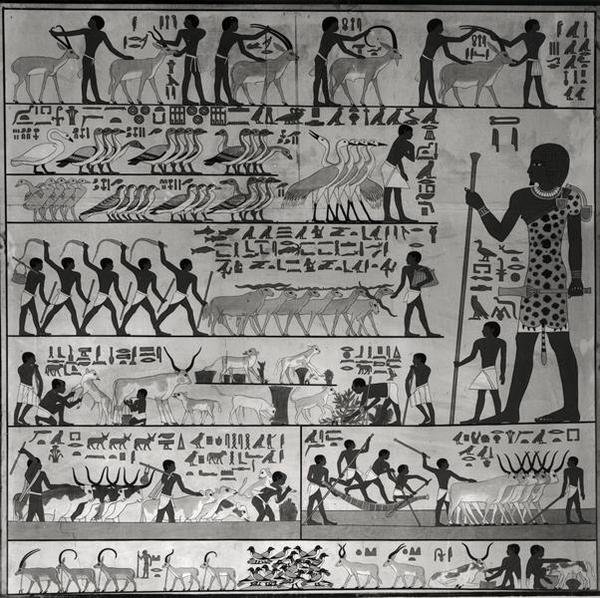 Copy of a relief from the mastaba of Ti at Sakkara by French School