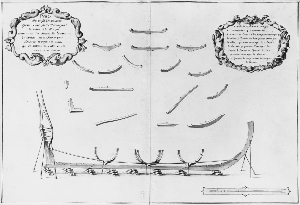 Profile of a vessel with its central floor plates, illustration from the 