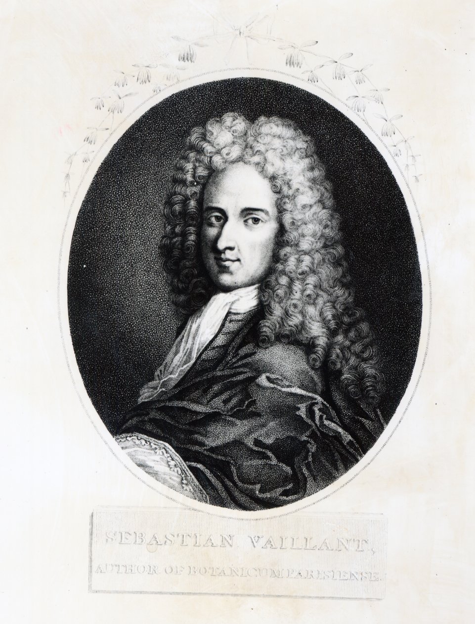 Sebastien Vaillant by French School