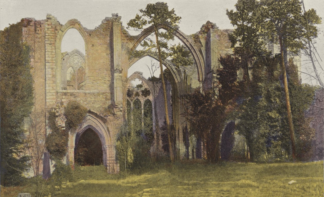 Dammarie-les-Lys, Ruins of Farcy-les-Lys Abbey by French Photographer