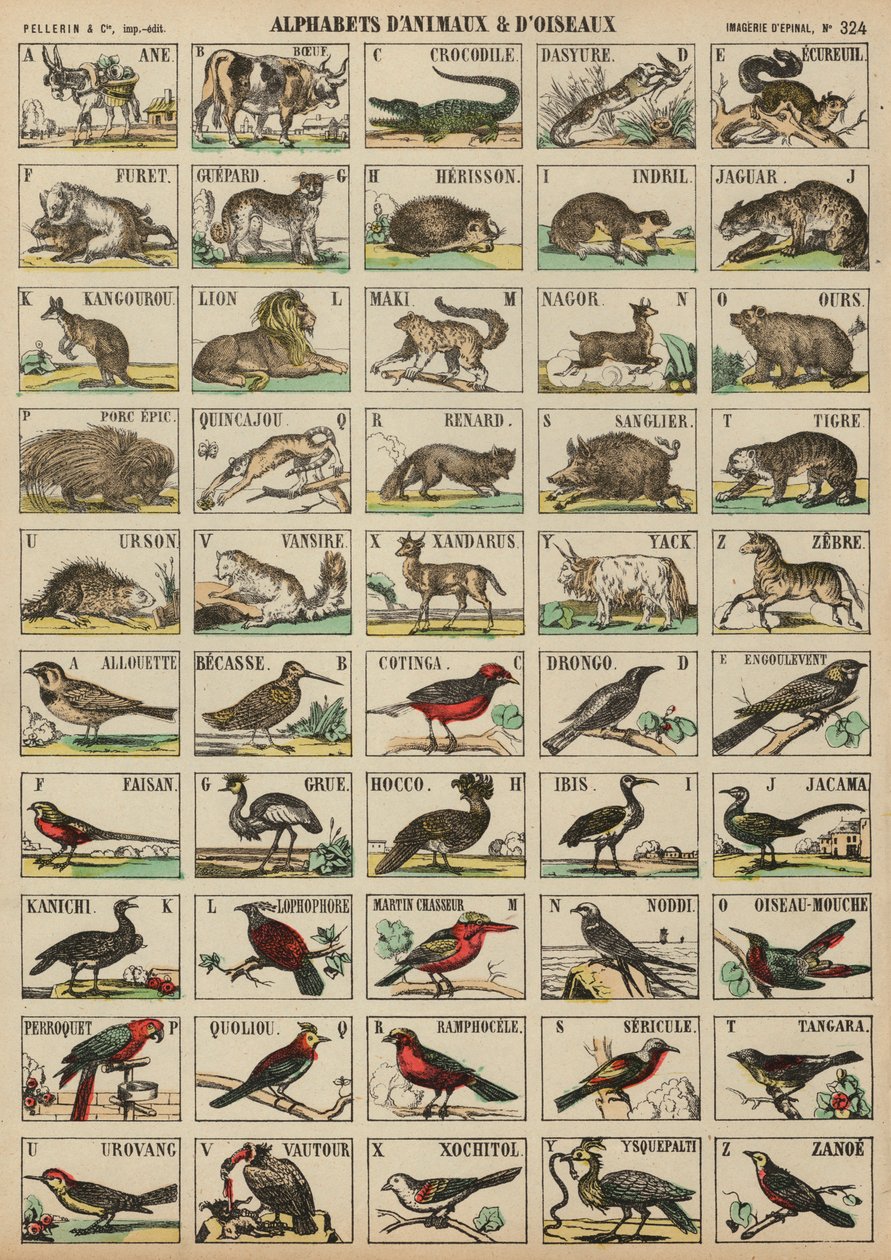 A to Z of Animals and Birds by French School