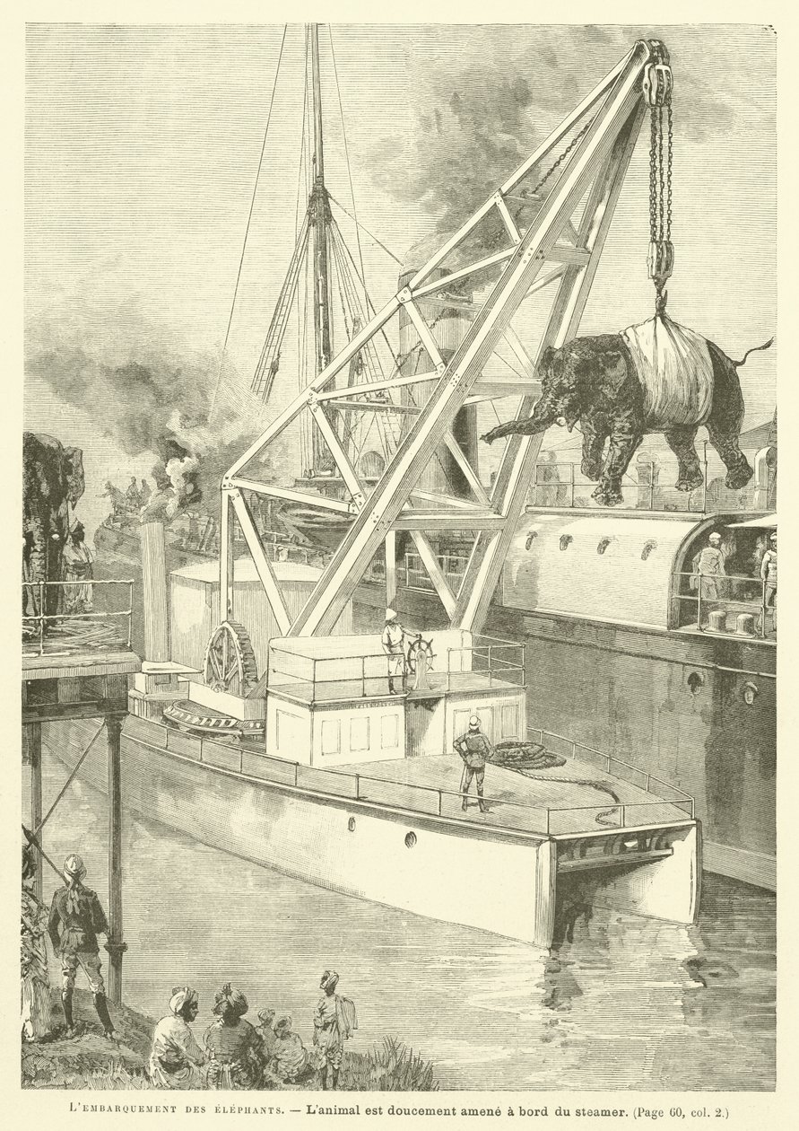 The Embarkation of the Elephants by French School