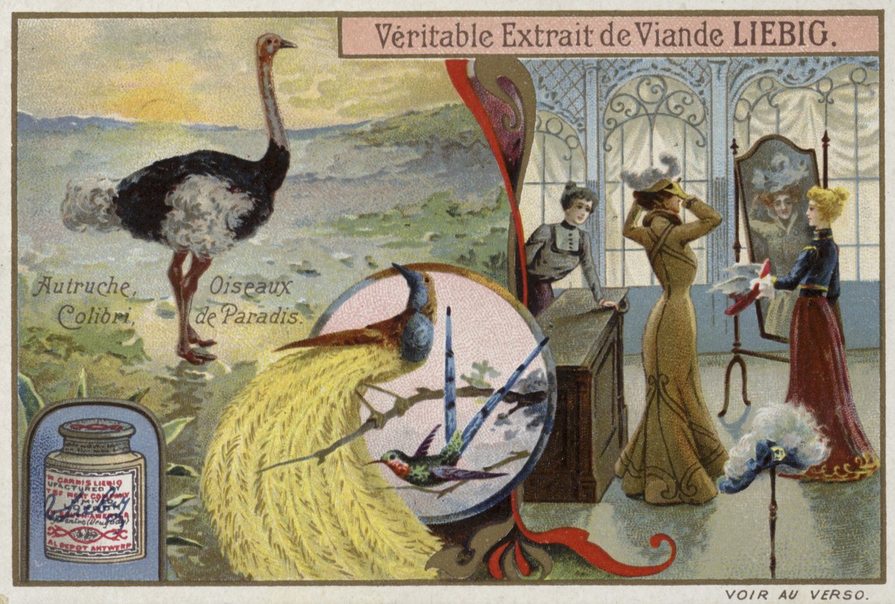 Liebig card featuring images of birds by French School