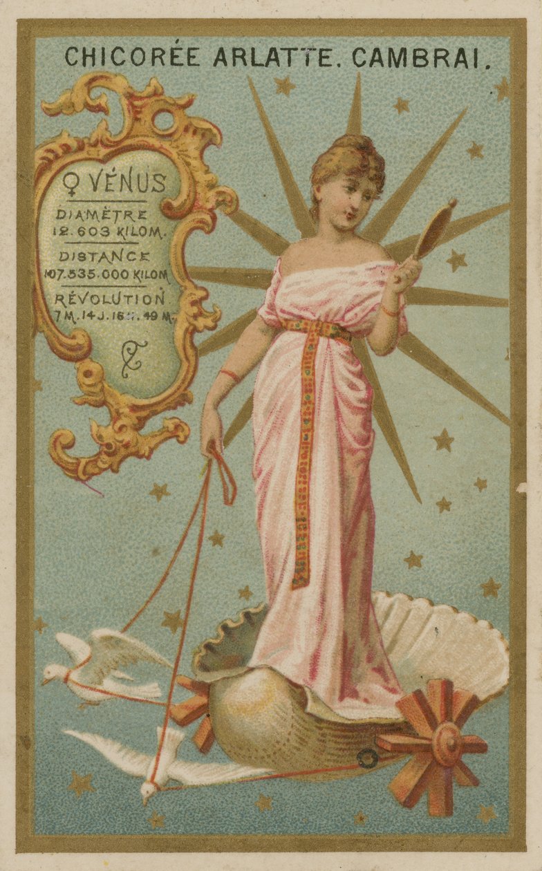 Venus by French School