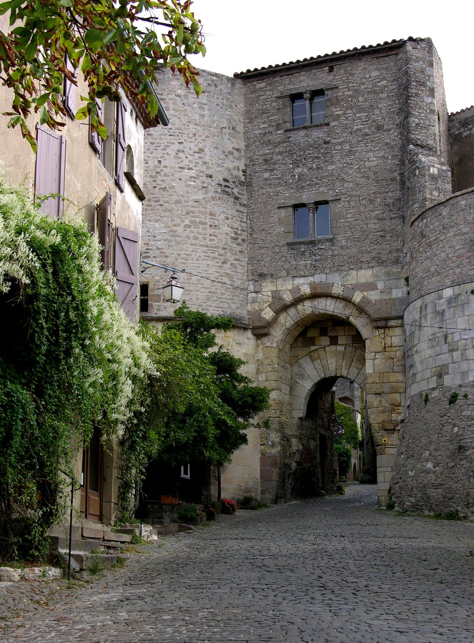 View of the Porte des Ormeaux by French School
