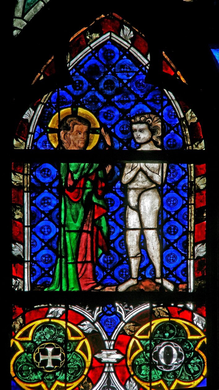 Window w17 depicting the Creation of Adam by French School