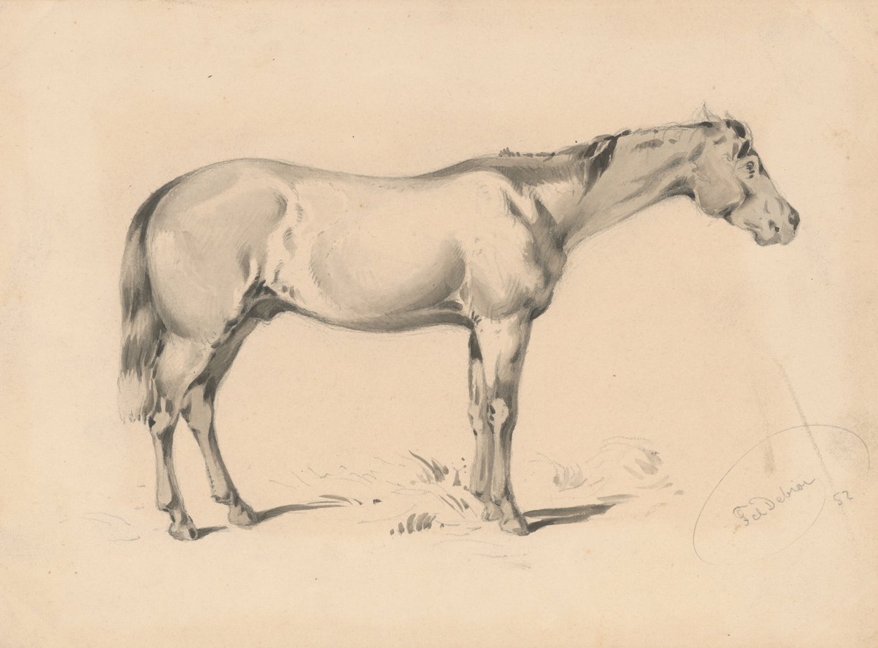 Study of a Horse I by Friedrich Carl von Scheidlin