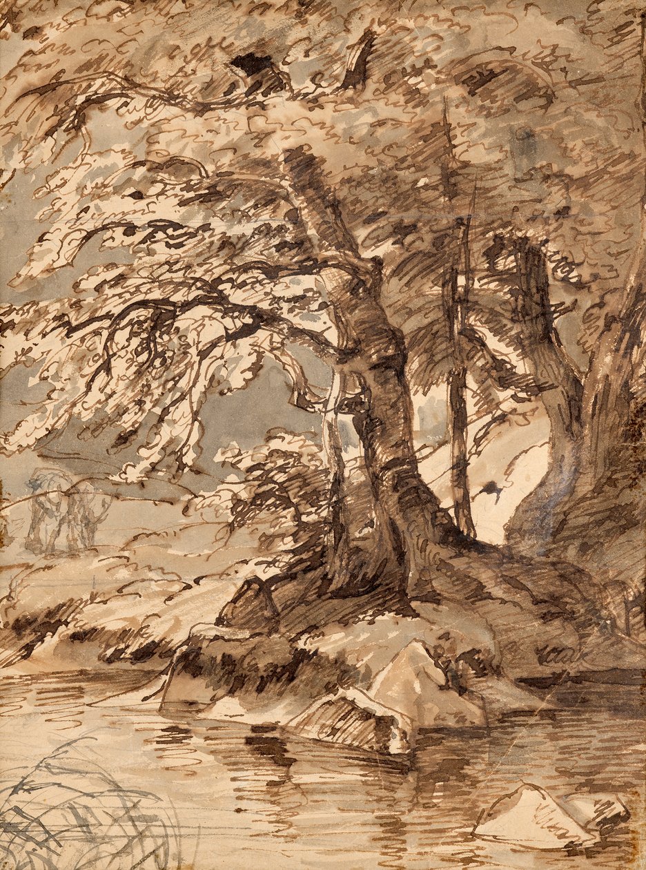 Tree Study by Friedrich August Mathias Gauermann