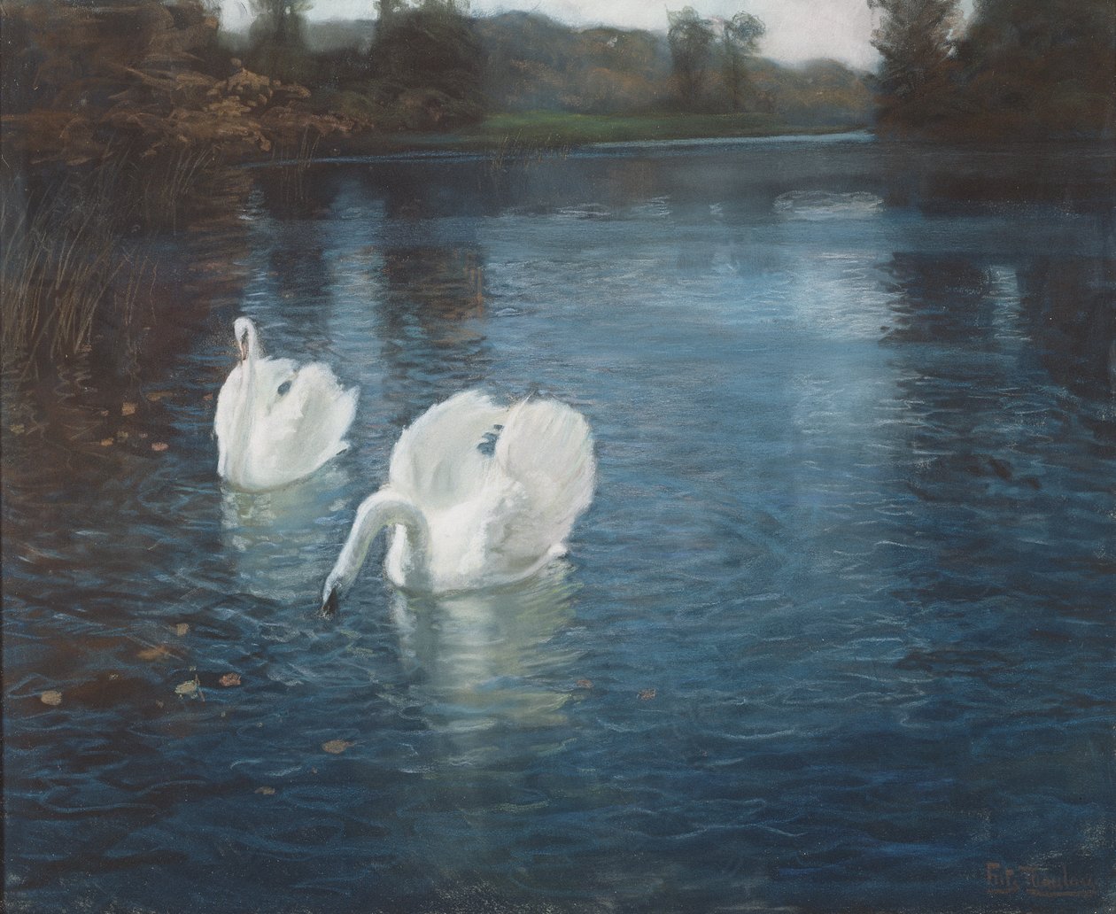 Swans on the river by Frits Thaulow
