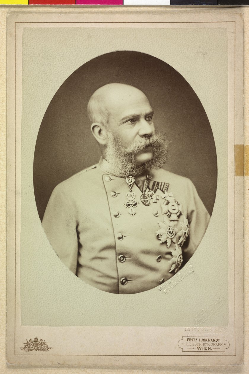 Franz Joseph I by Fritz Luckhardt