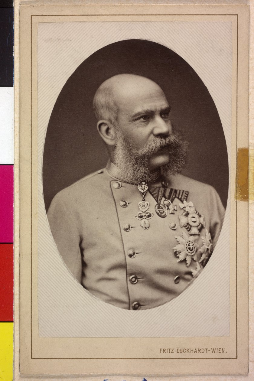 Franz Joseph I by Fritz Luckhardt