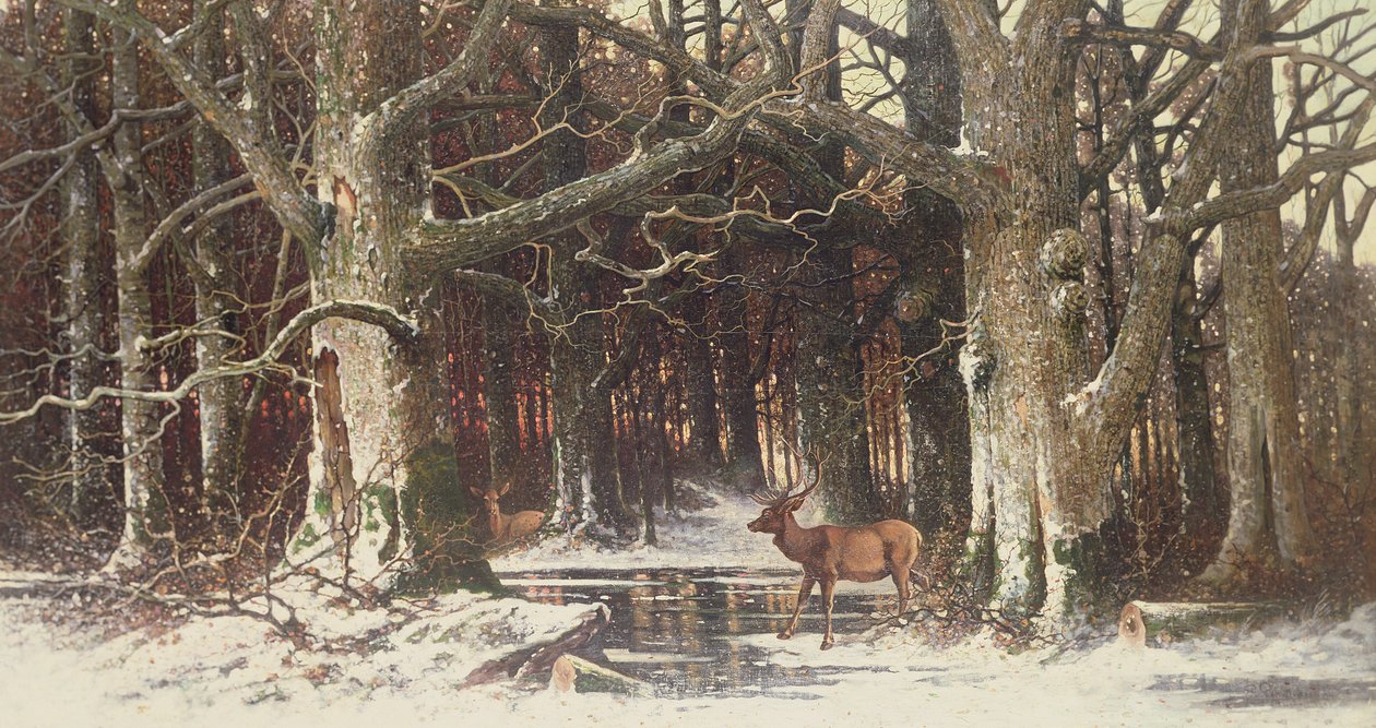 Deer in the Forest by G. Schneyder