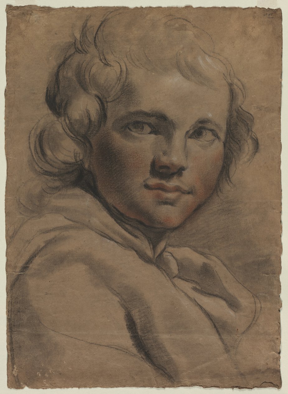 Head of a Young Man by Gaetano Gandolfi