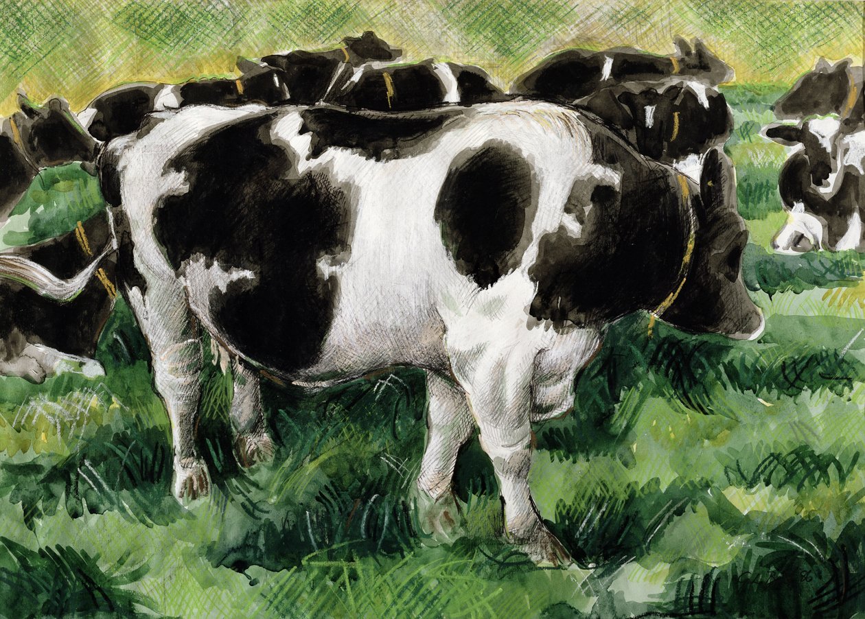 Friesian Cows by Gareth Lloyd Ball