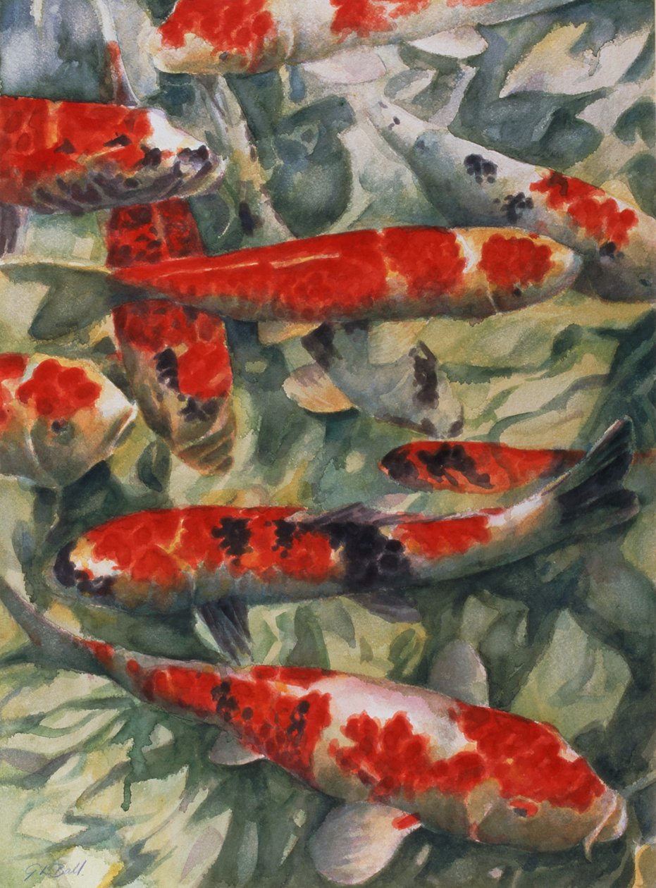 Koi Carp by Gareth Lloyd Ball