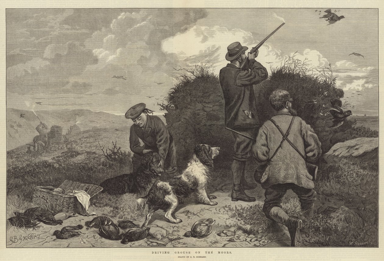 Driving Grouse on the Moors by George Bouverie Goddard