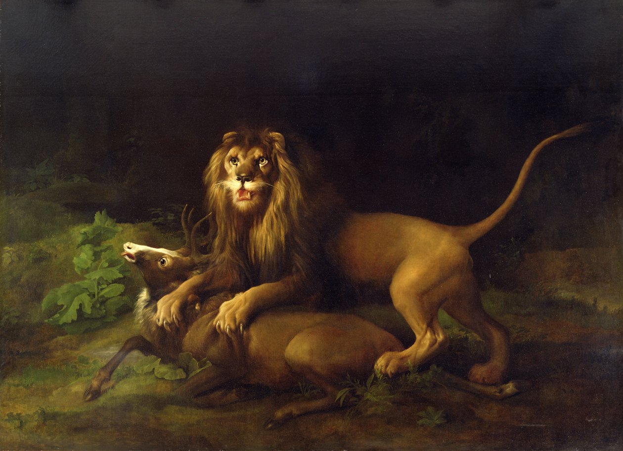A Lion Attacking a Stag, c.1765 by George Stubbs