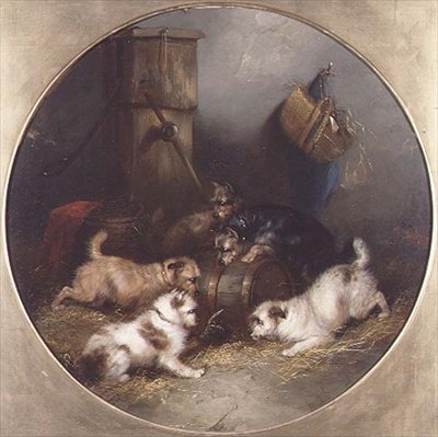 Terriers Ratting in a Barn by George Armfield