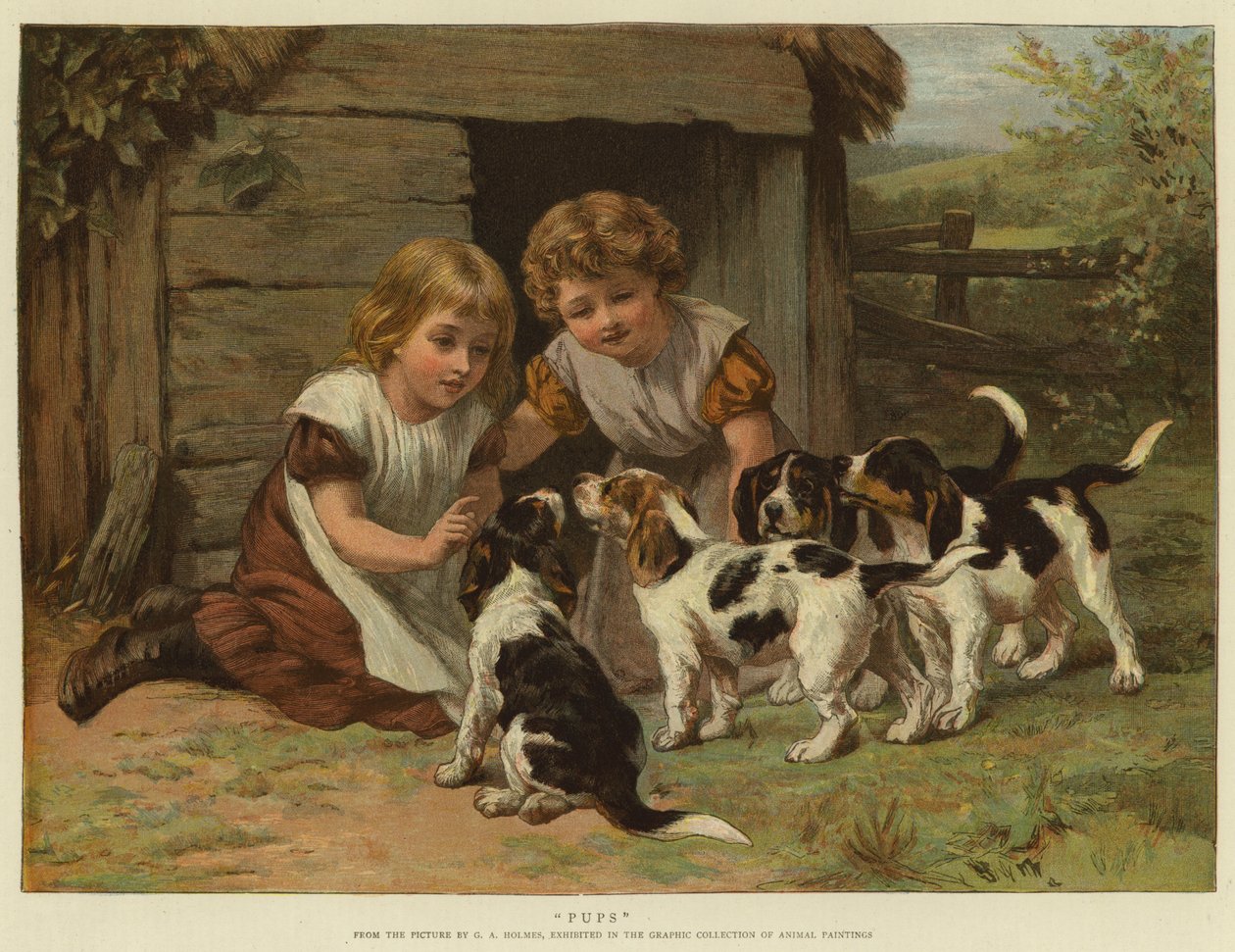 Pups by George Augustus Holmes