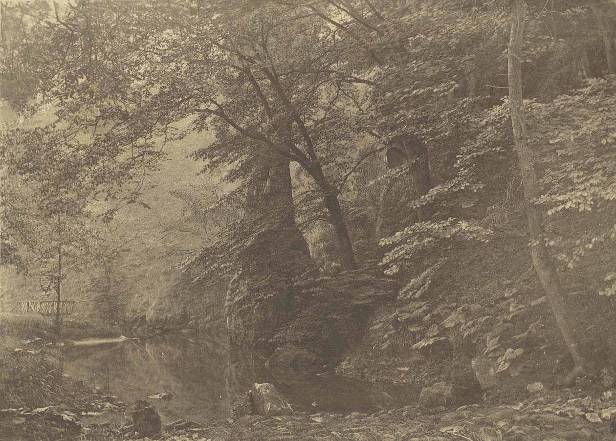 Pike Pool by George Bankart
