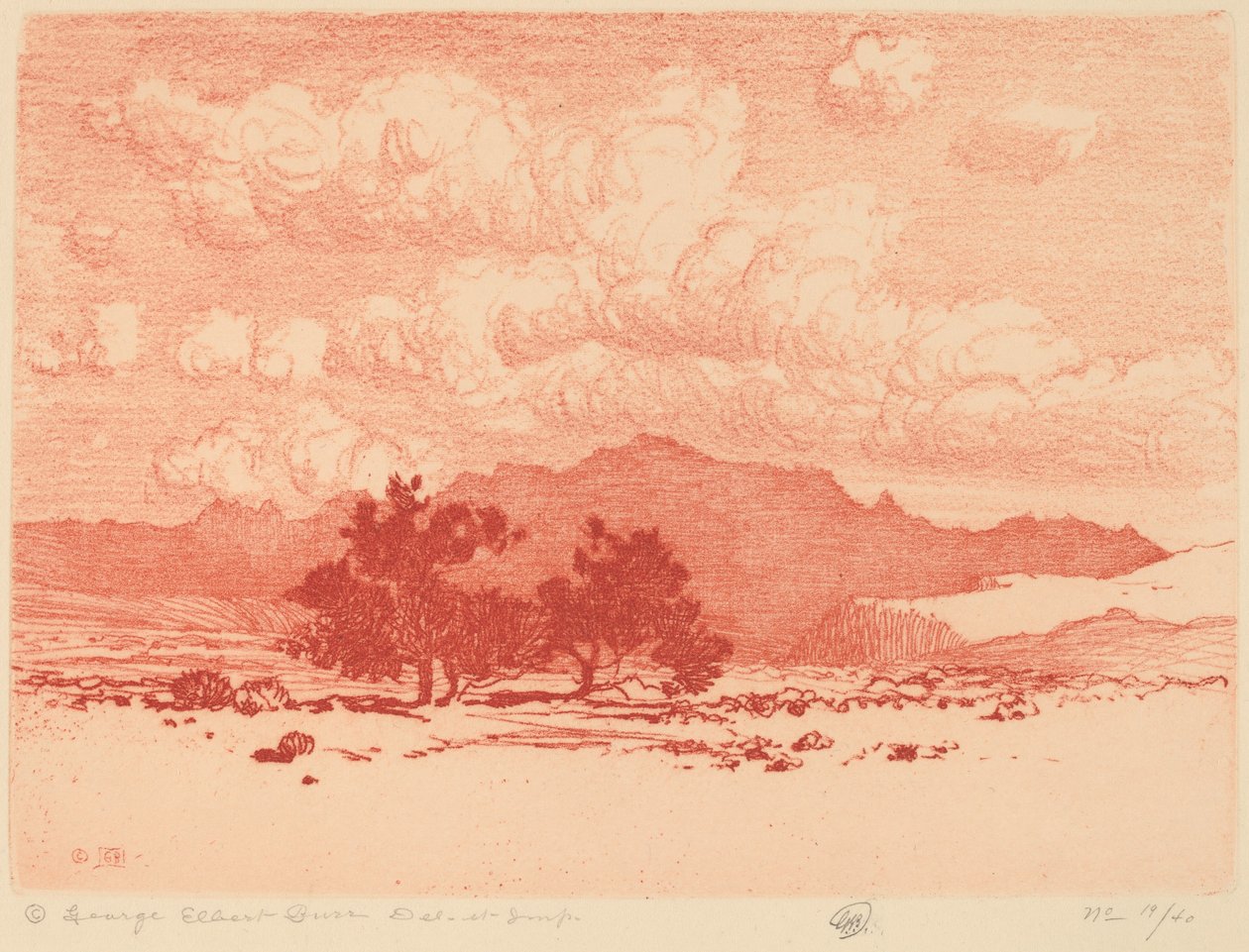 Palo Verde Trees by George Elbert Burr