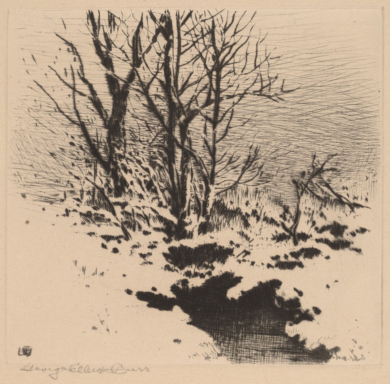 The First Snow (no.2) by George Elbert Burr