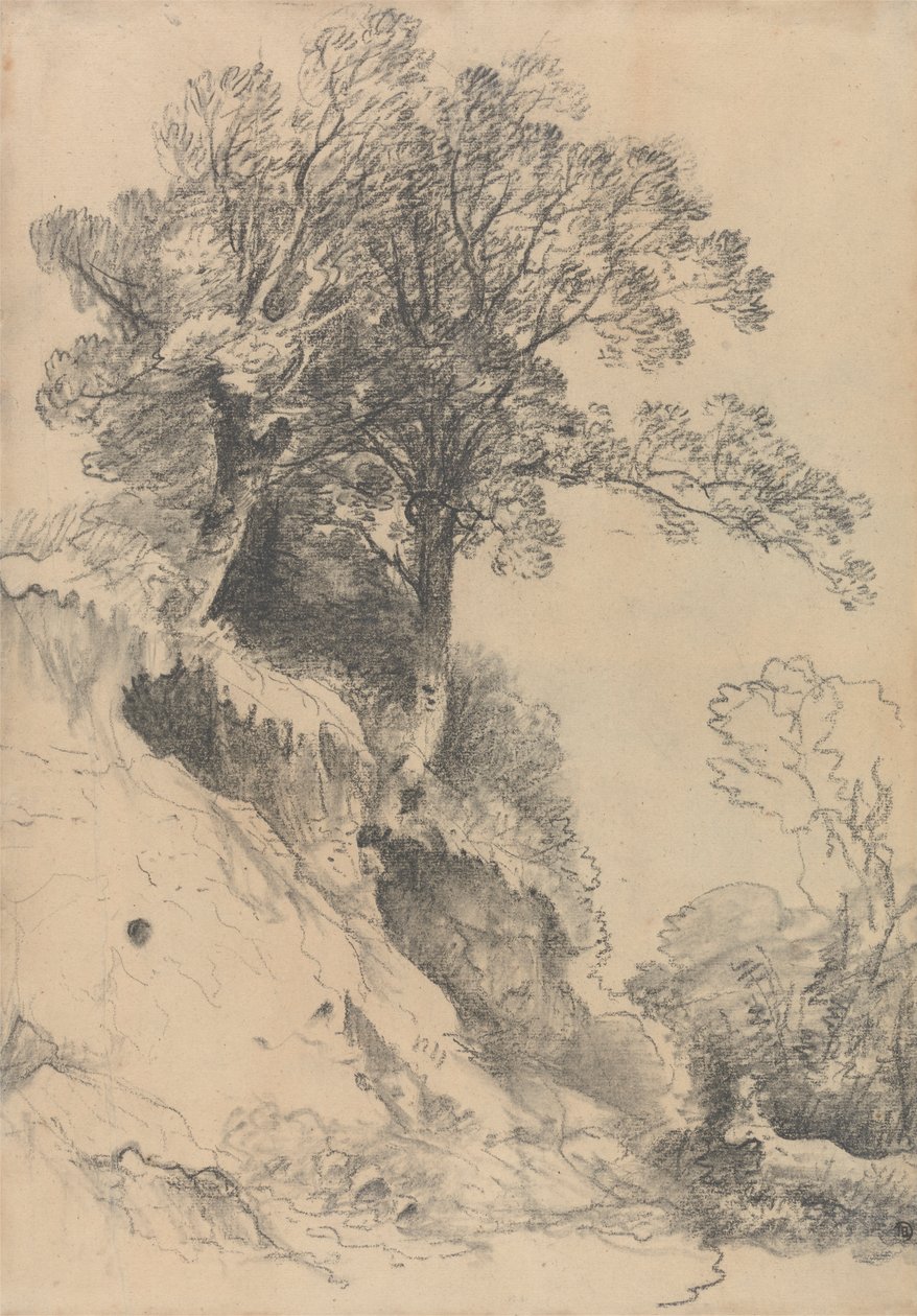 Trees on a Crumbling Bank by George Frost