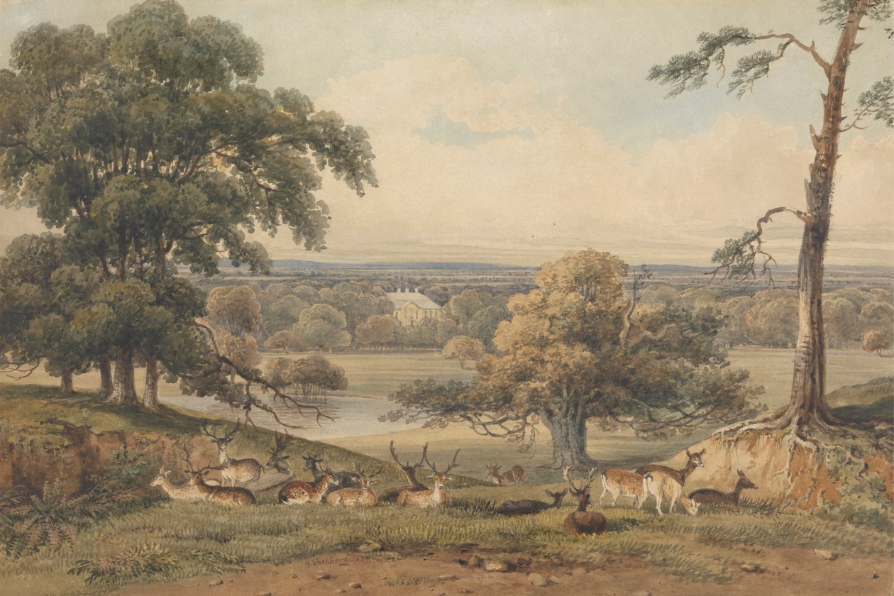 A Distant View of Ampthill Park by George Shepherd