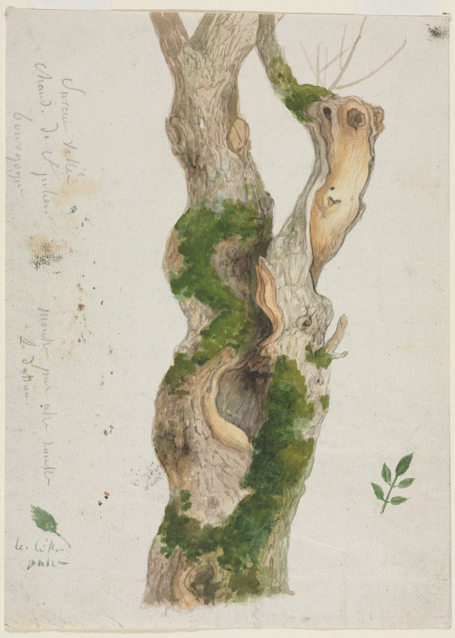 Study of a Tree Trunk by Georges Michel