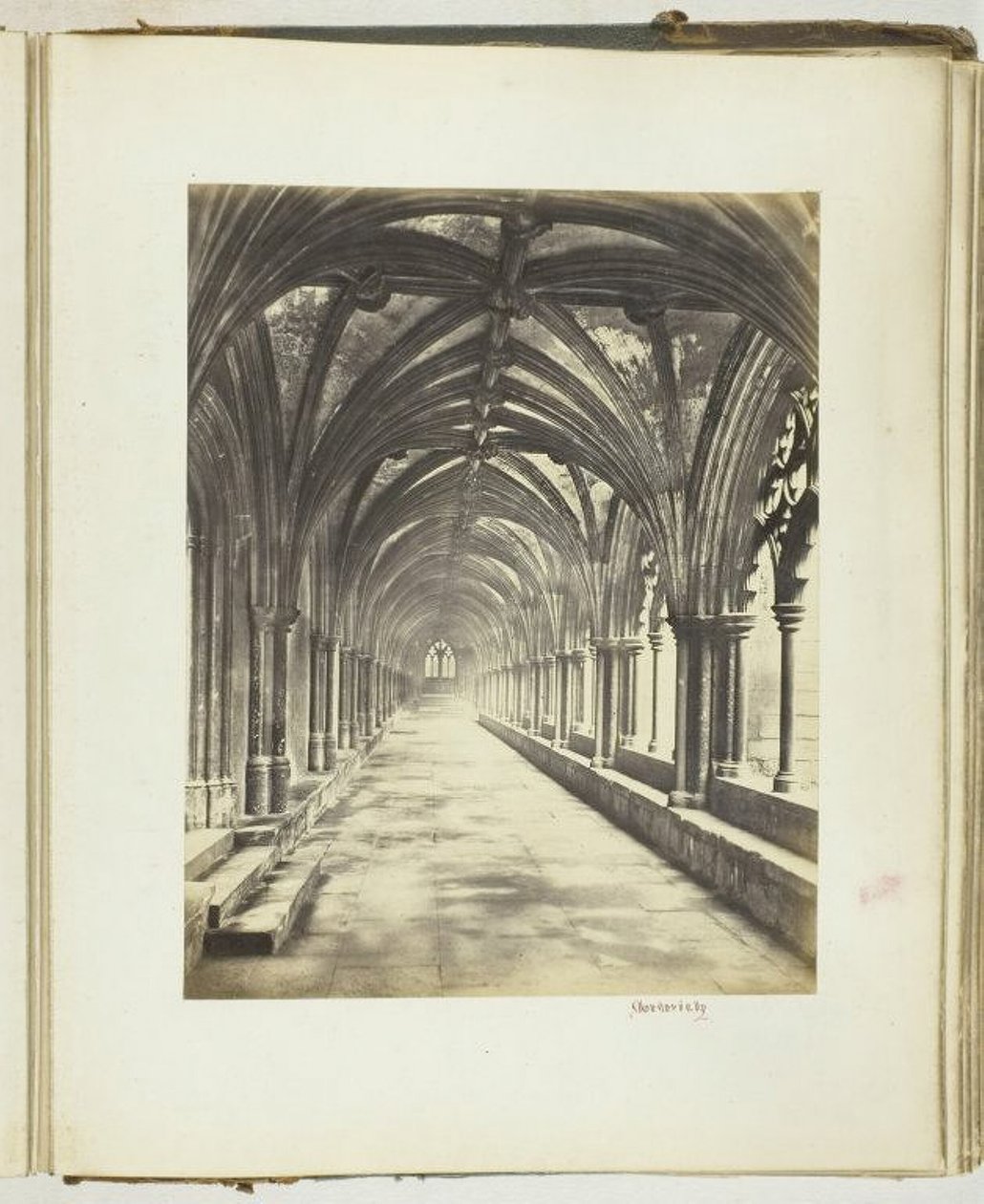 Untitled [cloisters] by Georgina Cowper