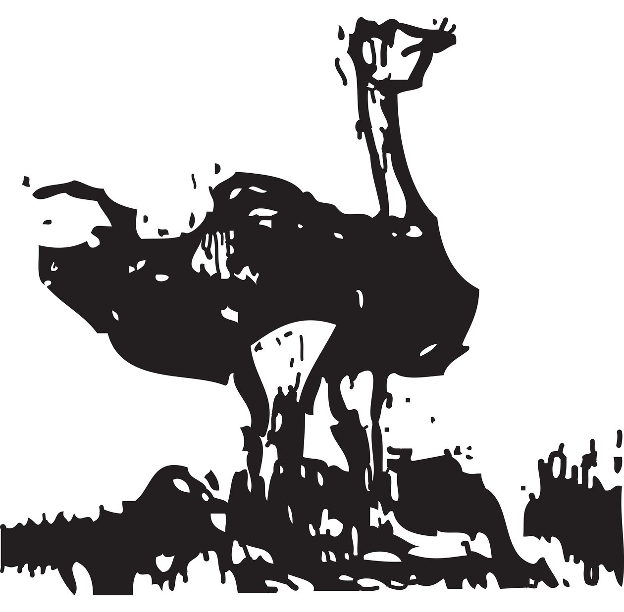 Ostrich by Gerhardt Isringhaus