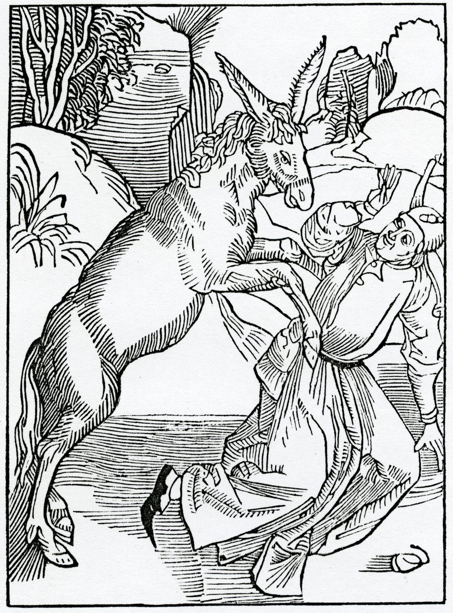 Of Fools Oppressed with Their Own Folly, illustration from Alexander Barclay