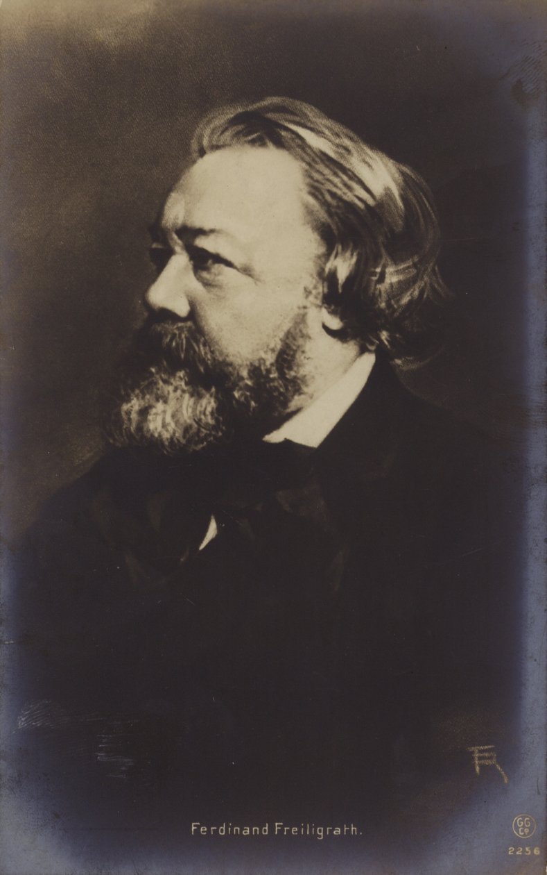 Ferdinand Freiligrath (1810-1876), German Poet by German Photographer