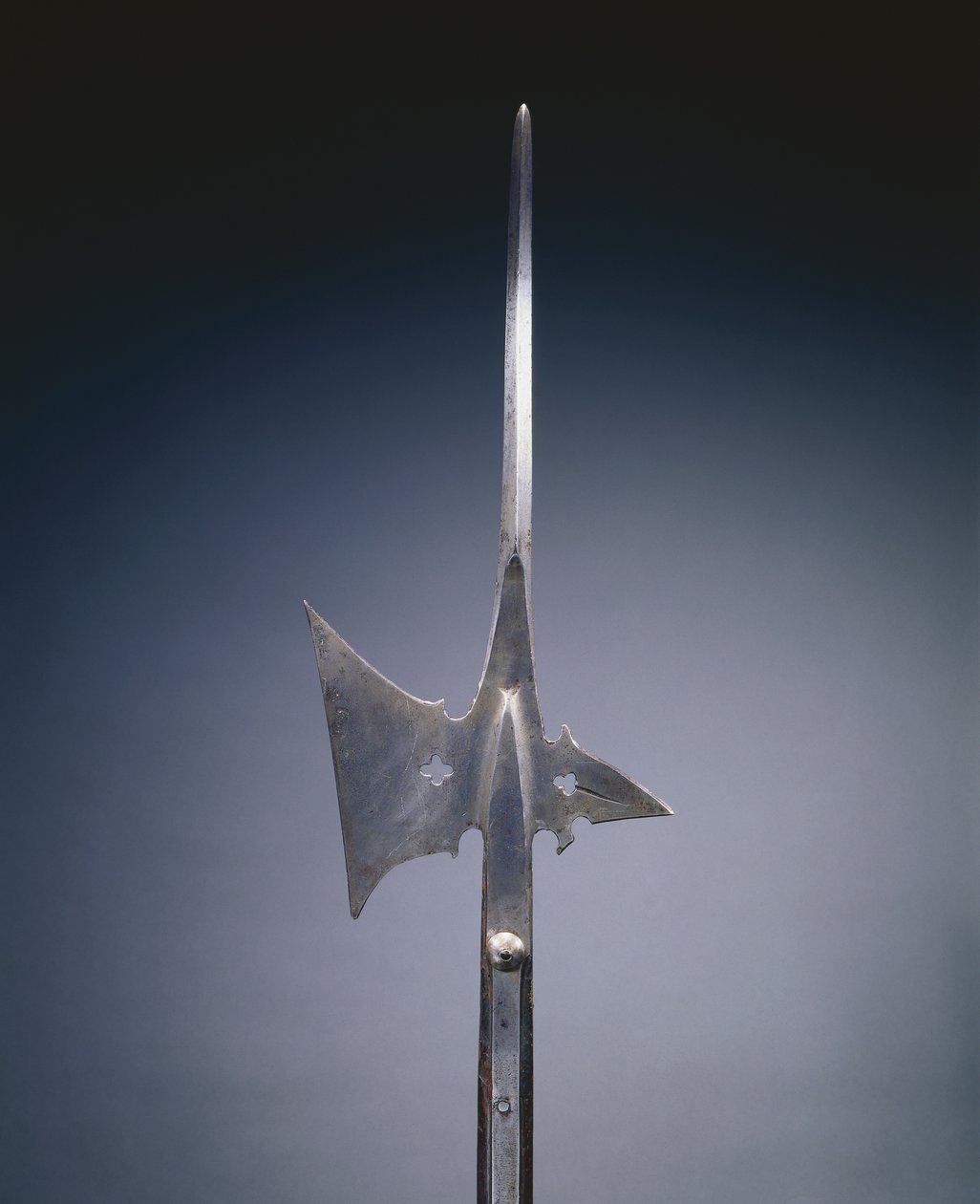 Halberd by German School