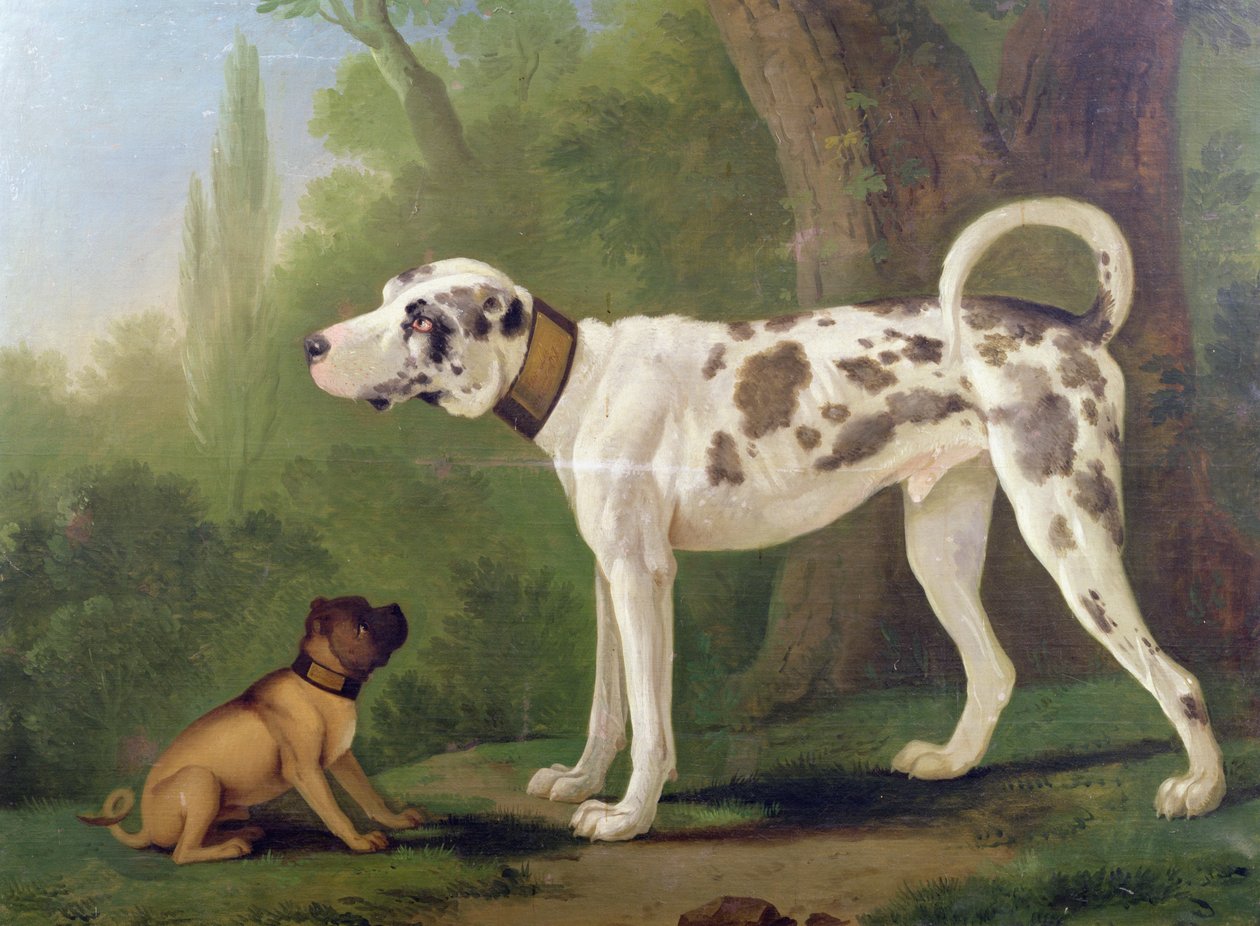 Hound and Terrier by German School
