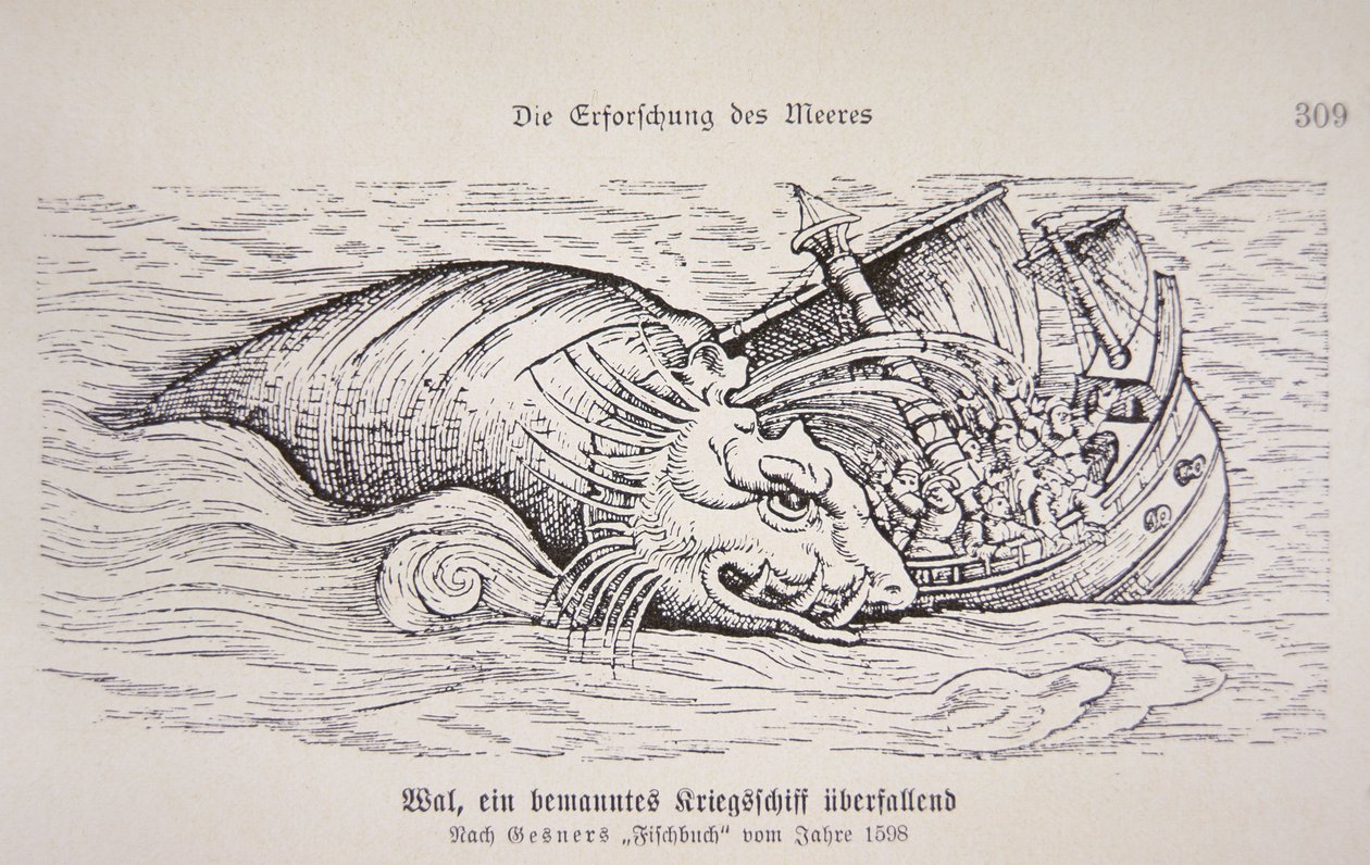 Whale attacking a ship by German School