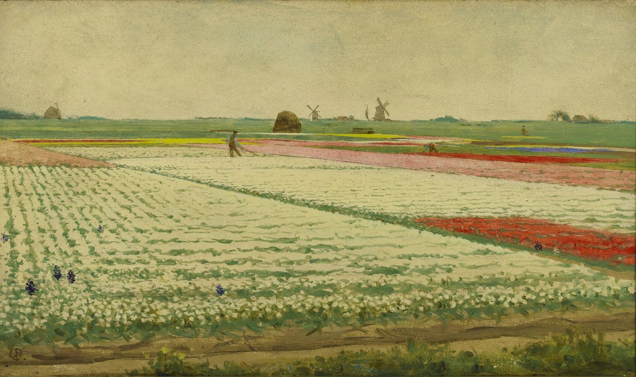 Tulip Fields by Gerrit Willem Dijsselhof