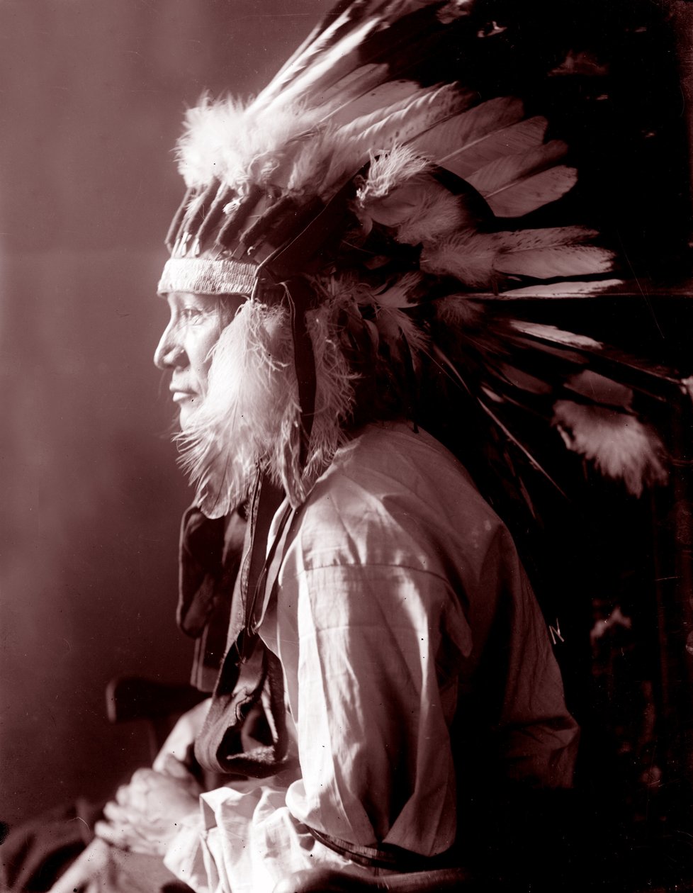 Whirlwind Horse by Gertrude Käsebier